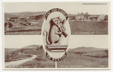 Cat and Fiddle Nr buxton, Valentine