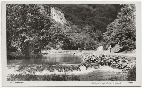 In Dovedale - Photochrom