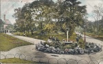Derby - The Arboretum 1903