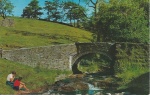 Goyt's Bridge - Salmon